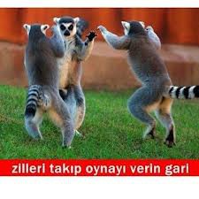 ZİLLERİ TAKIVERİP OYNAYIVERİN GARİ!