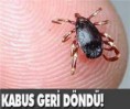 KABUS GERİ Mİ DÖNDÜ?